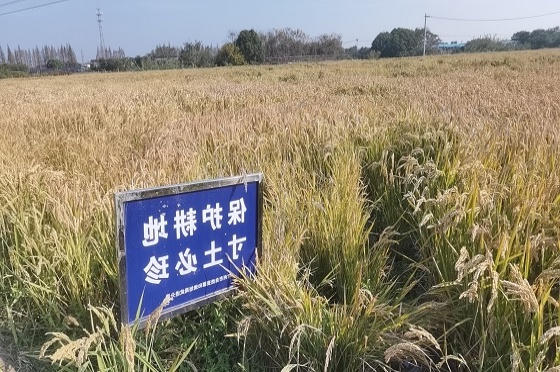 博彩平台推荐