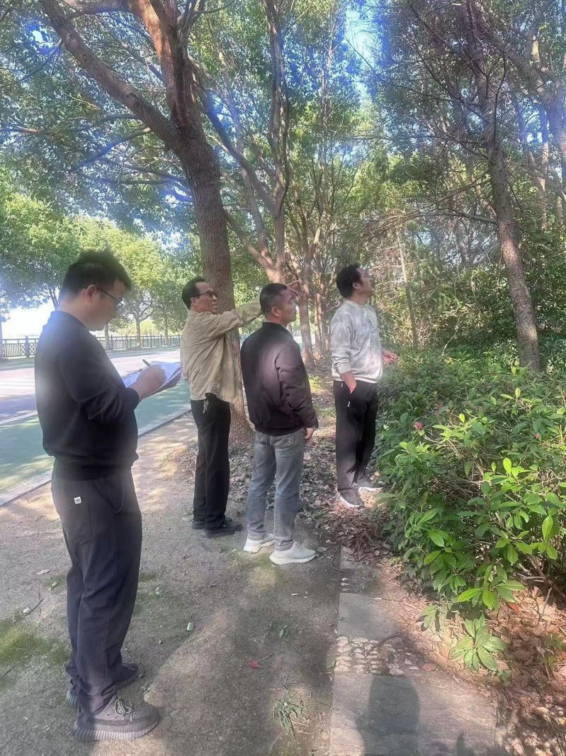 博彩平台推荐