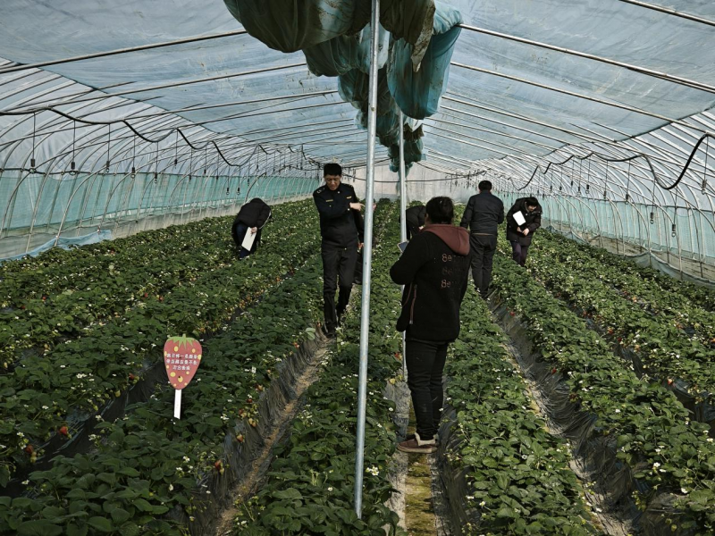 博彩平台推荐