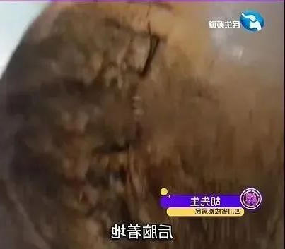 博彩平台推荐