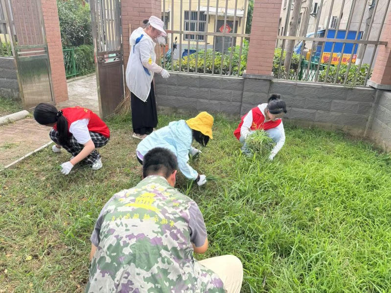 博彩平台推荐