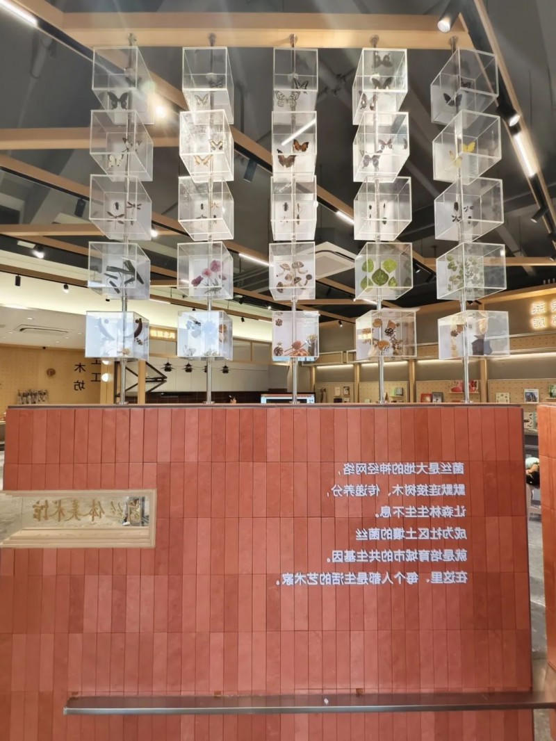 博彩平台推荐