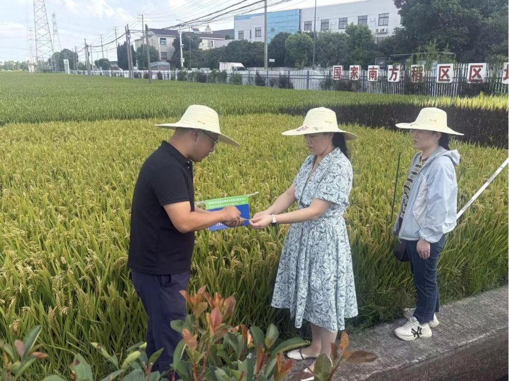 博彩平台推荐