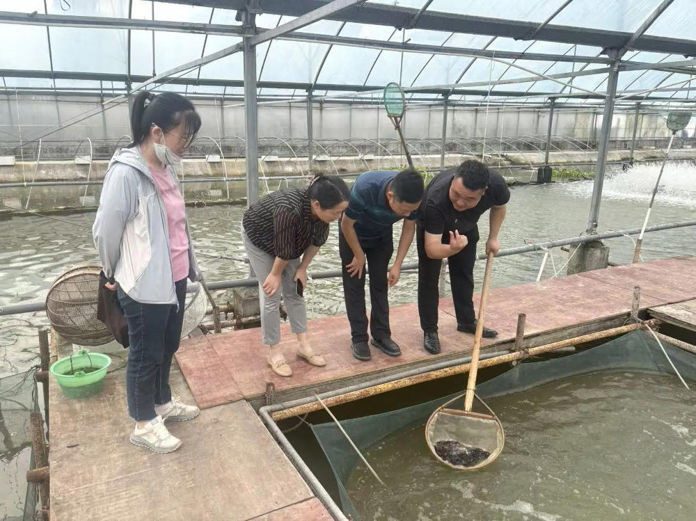博彩平台推荐